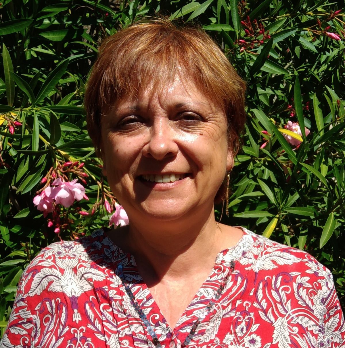 Conseil municipal – Villecroze